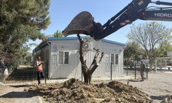Kuşadası’nda 410 ağaç kesilmekten kurtarıldı