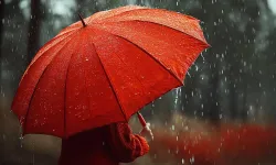 Aydın'a sağanak yağış uyarısı