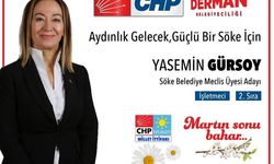 CHP'li Gürsoy meclis üyeliğinden istifa etti