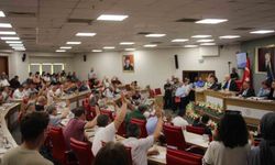 Antik kent kazılarına ABB Meclisi'nden destek