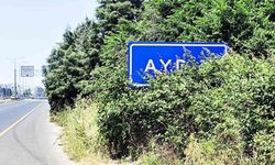 Denizli Karayolu üzerindeki Aydın tabelası çalılar arasında kaldı