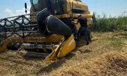 Köşk'te hububat hasadında dane kaybına karşı sıkı denetim