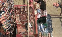 Kuşadası'nda çocuklar, marketi talan etti