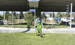 Kuşadası'nda yeşil alanlar bakıma alındı