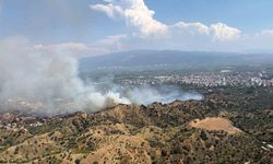 Nazilli'de zirai alan yangını