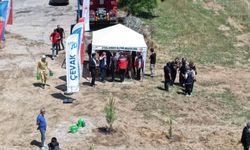 Aydın'da 100 fidan toprakla buluştu