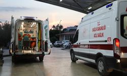Kız alıp verme husumeti kanlı bitti: Baba ve oğlu öldürüldü