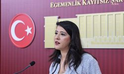 EMEP'li Sevda Karaca'dan çocuklara yönelik kanun teklifine tepki!
