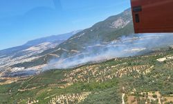 İzmir Buca'daki yangın kontrol altına alındı
