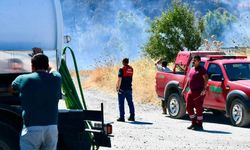 İzmir Bornova'da orman yangını