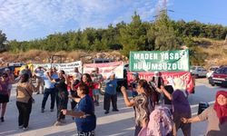 Çevre gönüllüleri, ağaç kesimlerinin üçüncü yılında Akbelen Ormanı’nda buluştu