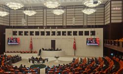 TBMM Genel Kurulu'ndan CHP'li Emir'den AK Partili Gül'e "Ahbap" çıkışı
