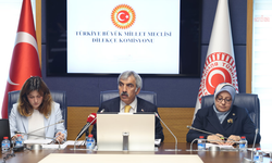 TBMM Dilekçe Komisyonu, Akran Zorbalığı Alt Komisyonu Raporu’nu oy birliğiyle kabul etti