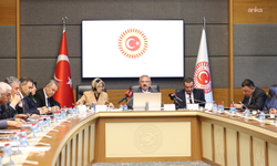 Disney, HBO ve Netflix temsilcileri TBMM'de!