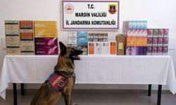 Mardin’de kaçakçılık operasyonu: 2 milyon lira değerinde kaçak tütün ele geçirildi!
