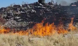 Adıyaman'da orman yangını: Müdahale sürüyor