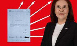 CHP'de şaşkınlık veren atama: Görevden alınan Özdemir, Konya'ya atandı!