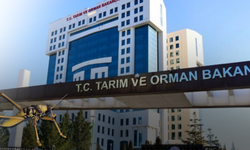 Bakanlık: "Endişe edilecek durum yok"