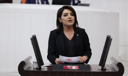 CHP'li Kış: "Saray, bir emeklinin bir aylık maaşını 43 saniyede harcıyor"