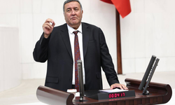 CHP'li Gürer: "Çiftçinin dalındaki yeşil domatesine icra geldi"