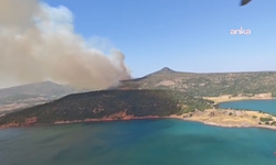 Foça’da yangına havadan ve karadan müdahale ediliyor