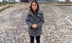 Gülistan Doku’nun ailesi: Teyit edilmemiş bilgiler kamuoyunu yanıltıyor