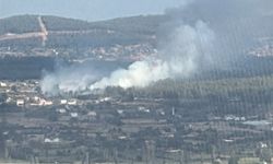 Muğla Yenice'de yangın! Müdahale sürüyor