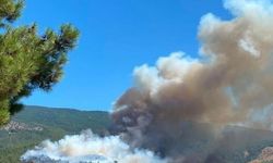 Çine'de orman yangını: Bölgeye ekipler sevk edildi!