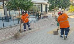 Efeler Belediyesi çalışıyor mahalleler pırıl pırıl oluyor!