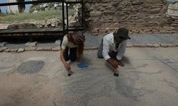 Poseidon'un kutsal hayvan mozaiği Aydın'da bulundu