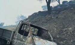 Çine'deki yangının ardından geriye kalan acı tablo!