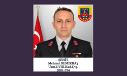 Kavga ihbarına giden jandarma şehit oldu