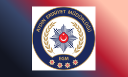 Aydın'da aranan 260 şahıs yakalandı