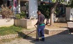 Efeler Belediyesinden kesintisiz çevre mesaisi