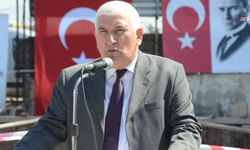 TMMOB'dan orman yangınlarına karşı çağrı: "Anız yakılması kayıtsız şartsız yasaklansın"