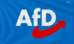 Almanya İçin Alternatif (AfD) Partisi'nin kazanmasını engellemek için 620 bin Euroluk kampanya