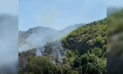 Sinop'ta orman yangını: 10 hektarlık alan zarar gördü