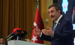 Cumhurbaşkanı Yardımcısı Yılmaz'dan Demirtaş açıklaması: Düzenleme kişiye özel olmaz, kararı yargı verir