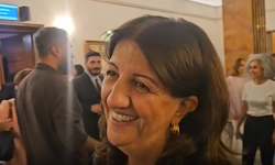 DEM Parti'den "Çerçeve Yasa" mesajı : Süreç gecikmemeli