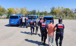 Köpek dövüştüren 3 kişi gözaltında