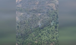 Marmaris Aksaz'daki orman yangını kontrol altına alındı