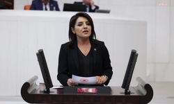 Gülcan Kış: "Vatandaş artık geleceğini planlamıyor"