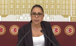 Sera Kadıgil hakkında soruşturma başlatıldı