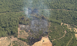 Muğla’daki orman yangını kontrol altına alındı