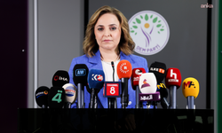 DEM Partili Doğan: "Bütün sorunları çözen nihai bir düzenleme değil"