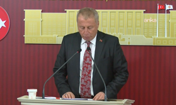 İYİ Partili Olgun "çerçeve yasa" teklifini eleştirdi