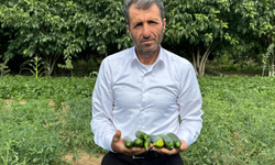 3 kez “Yılın Çiftçisi” seçildi! Şimdi destek bekliyor