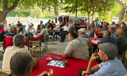 Aydın incirinde yeni sezon öncesi yoğun mesai