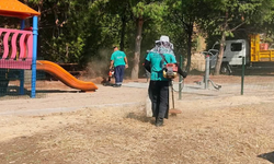 Efeler Belediyesi’nden parklarda bakım ve budama çalışması