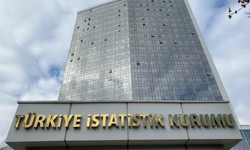Tarımsal girdi fiyat endeksi yıllık yüzde 32,06 arttı